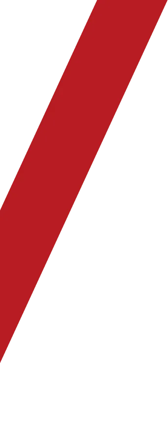 背景ラインイメージ